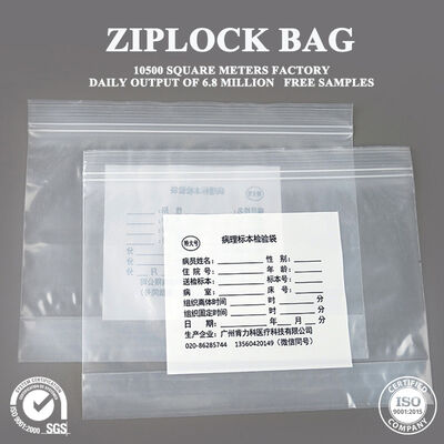 Quality Food Grade Custom Ziplock Bags Waterproof Compostable Ziplock Bags factory